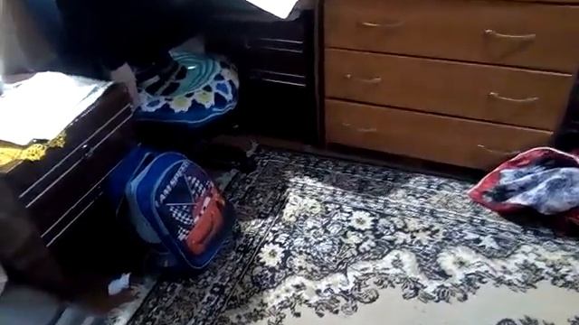 собака Клякса 2 смотреть онлайн
