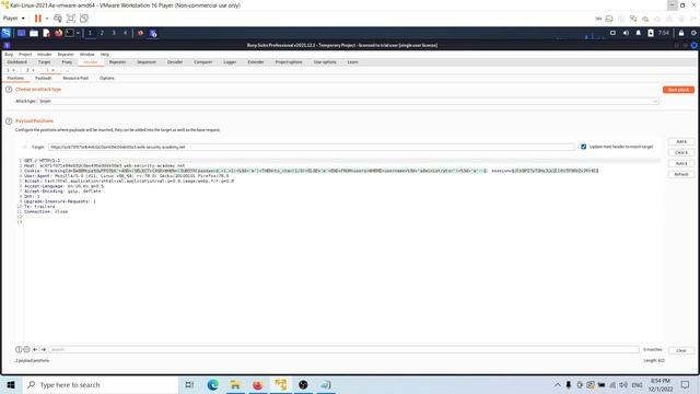 Lab: Blind SQL injection with conditional errors смотреть онлайн