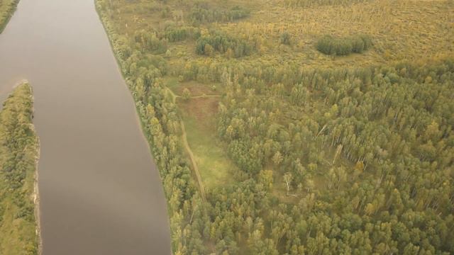 Участок под санаторий на берегу реки Тура в сосновом бору. Тюмень. Граничит с санаторием Геолог. смотреть онлайн