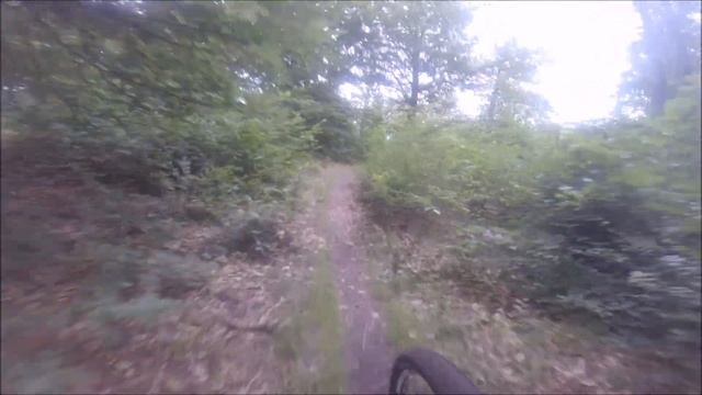 Scott Scale 2017 Season