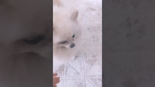 угадай мой любимый цвет смотреть онлайн