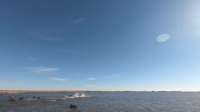 I Hunted with Josh from Outdoor Limits! The Flyways Collective Collab Duck Hunt #2 смотреть онлайн