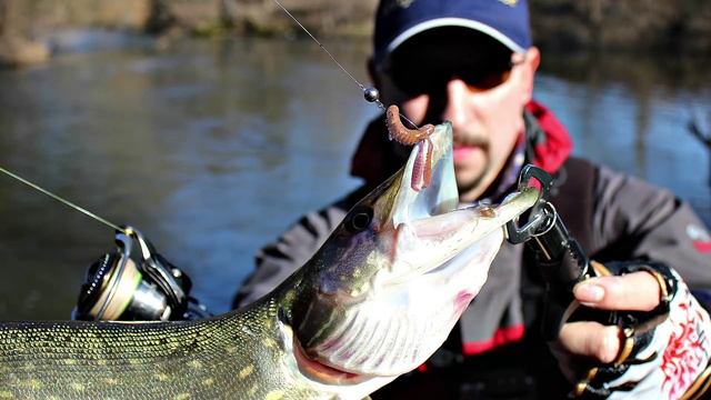 GraphiteLеader AsPRO 1-11гр. & Reins Bait! смотреть онлайн