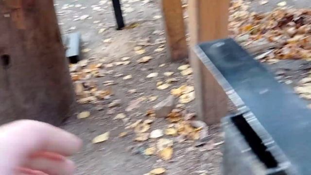 Простая скамейка, быстро и красиво смотреть онлайн