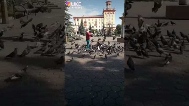 Армия голубей 2019 г.Прокопьевск смотреть онлайн