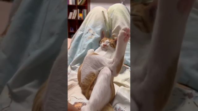 Прилег отдохнуть смотреть онлайн