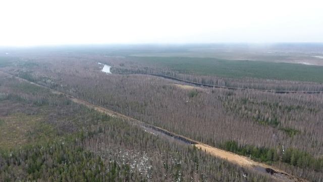 Ольховик высота 300 метров уровень облаков смотреть онлайн