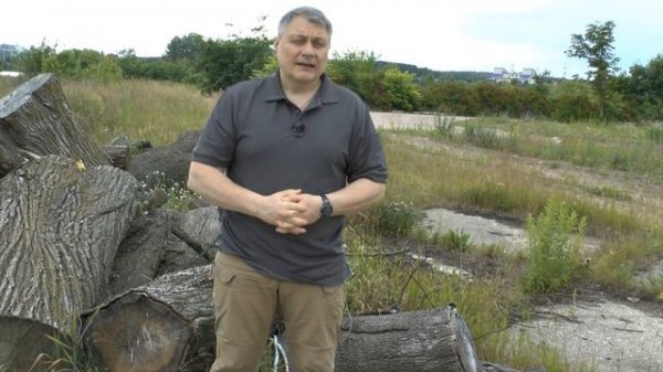 Тестируем модель BREEZE