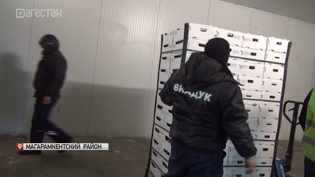 Управлением Россельхознадзора по РД выявлено более 3 тыс.тонн зараженной продукции