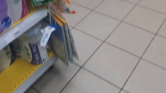 Лабрадор Рей в Магнит выбор корма для собак и кофе для музея жилбылпёс музейпса YouTube Leo Ridge смотреть онлайн