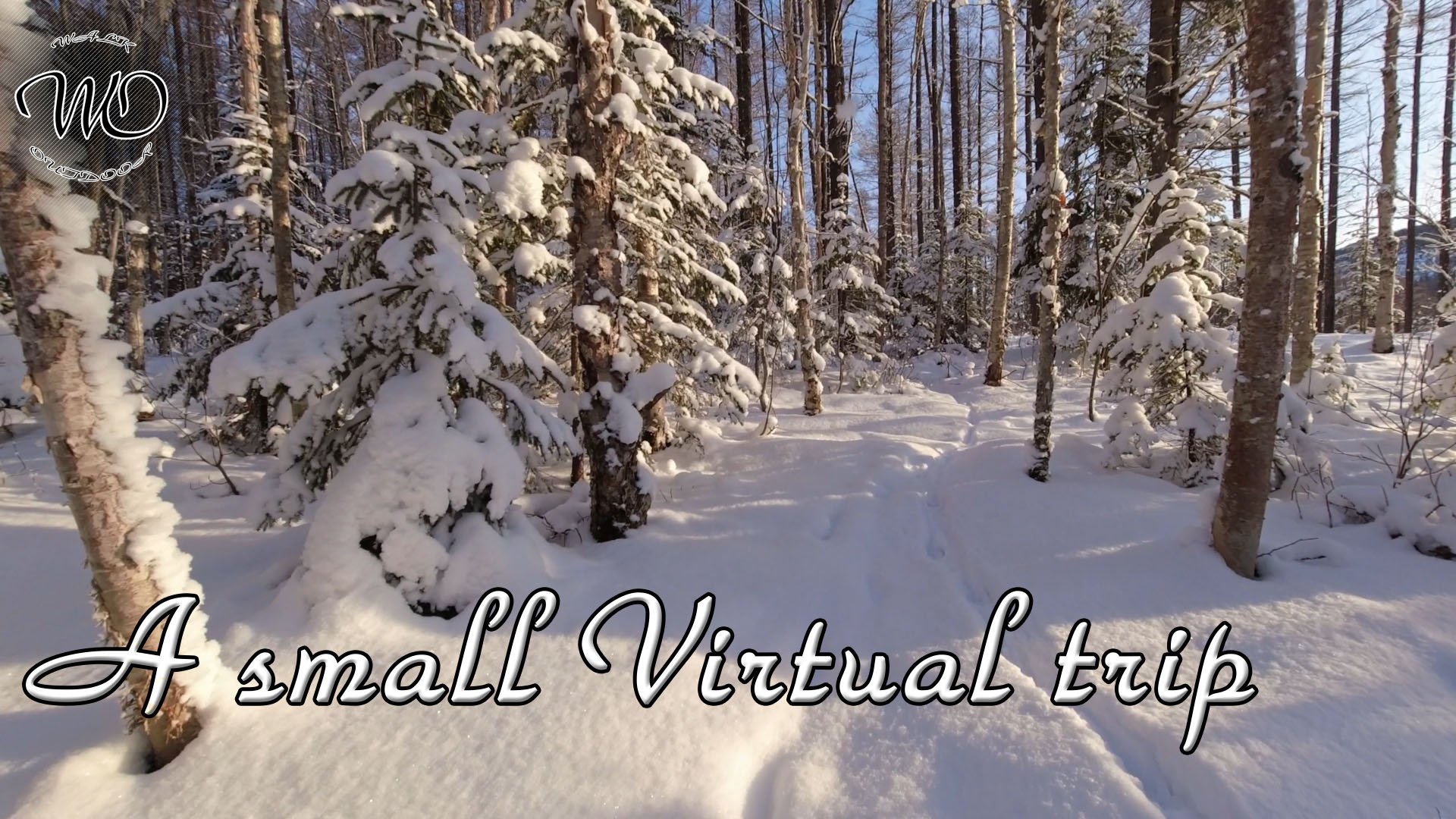 Зимний одиночный кемпинг / Укрытие из тента / Заготовка дров и небольшой костер / ASMR смотреть онлайн