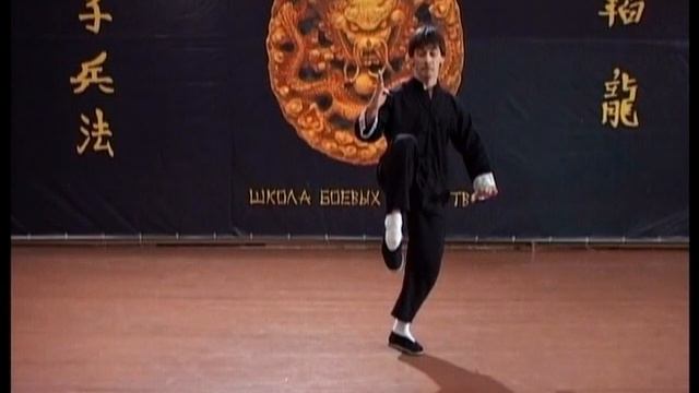 Тайцзи Цюань: Стиль 