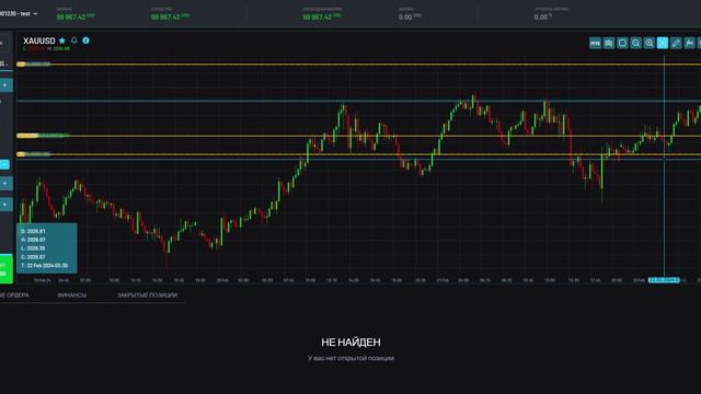 Обзор торгового терминала Match Trader