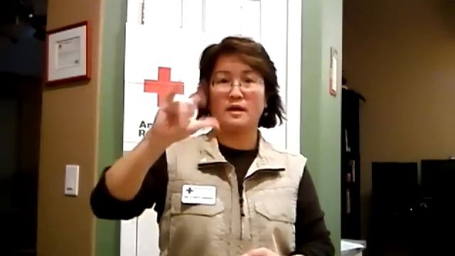 ASL: Update on Red Cross Disaster Relief Activities and How to Get Help смотреть онлайн