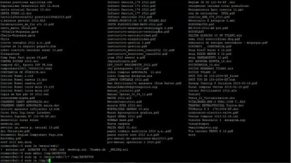 Удаление вирусов с USB-накопителя в Linux с помощью командной строки