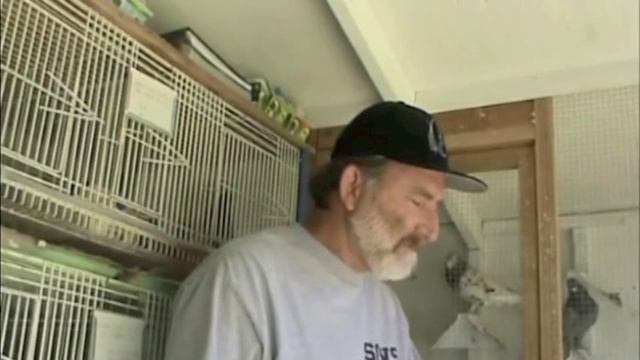 Color Matching and Eye Color смотреть онлайн