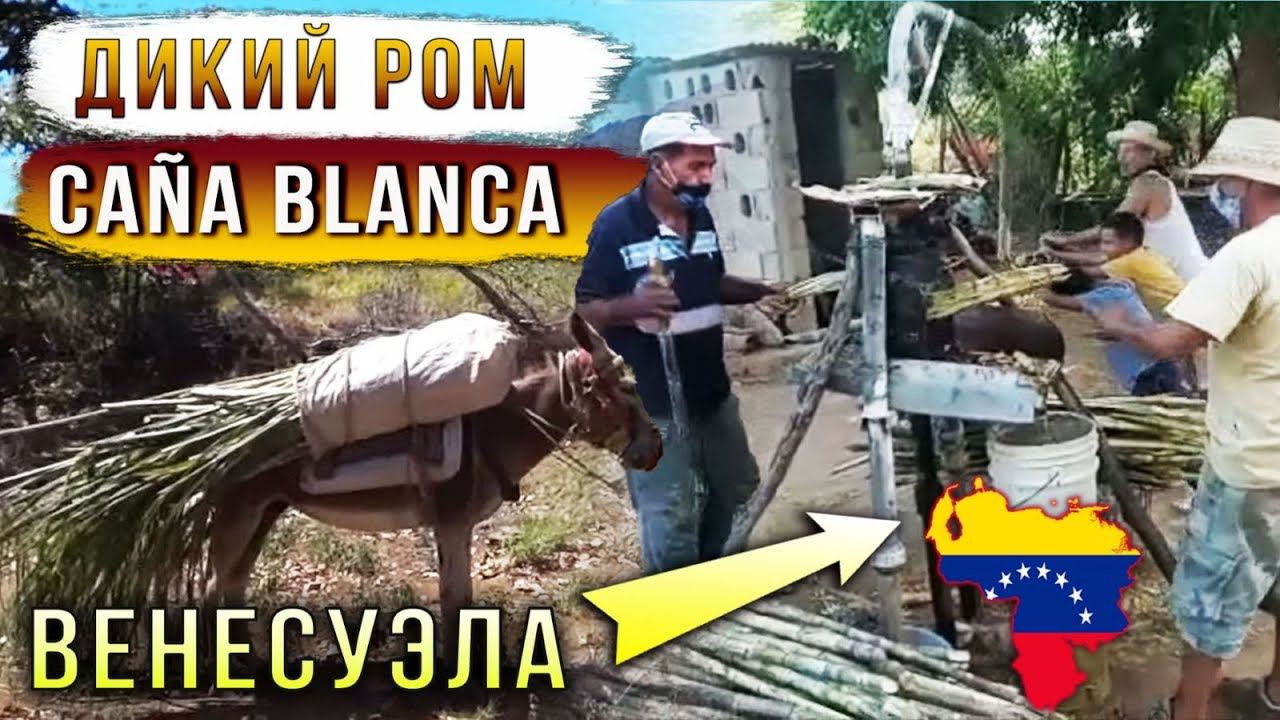 Дикий ром сорта Caña blanca. Венесуэла. смотреть онлайн