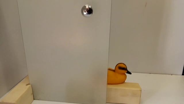 Разбилось стекло в двери смотреть онлайн