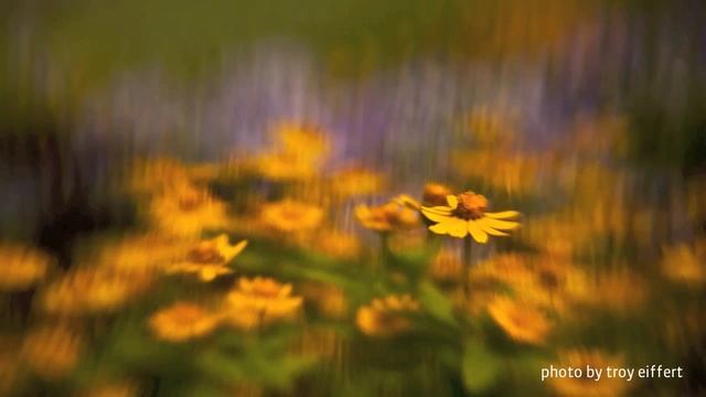 Набор дисков диафрагм Lensbaby Creative Aperture Disks Kit смотреть онлайн