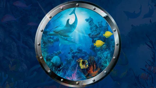 David Miller смотреть онлайн