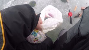 Зимняя рыбалка с Анатолий Стрелец Ловля на мормышку