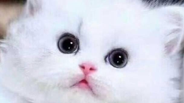 Доброе утро - открытки смотреть онлайн