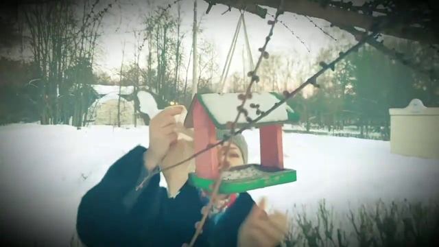 Покорми птиц в парке зимой. смотреть онлайн