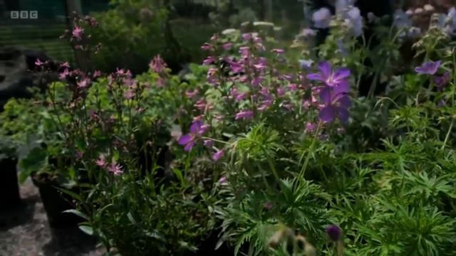 Gardeners World 2022 Episode 14 смотреть онлайн
