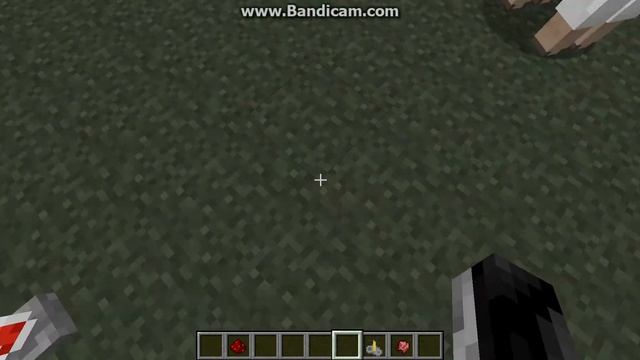 Как делать зелье невидимости смотреть онлайн