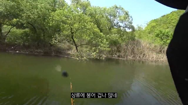 이런 광경을 보고도 낚시를 안한다고? смотреть онлайн