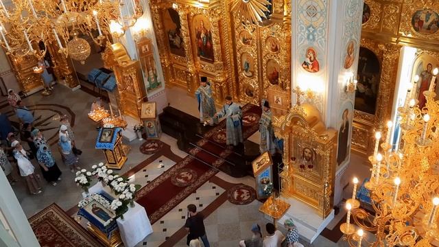 Встреча владыки Антония (Азизов) "Тон деспотин" смотреть онлайн