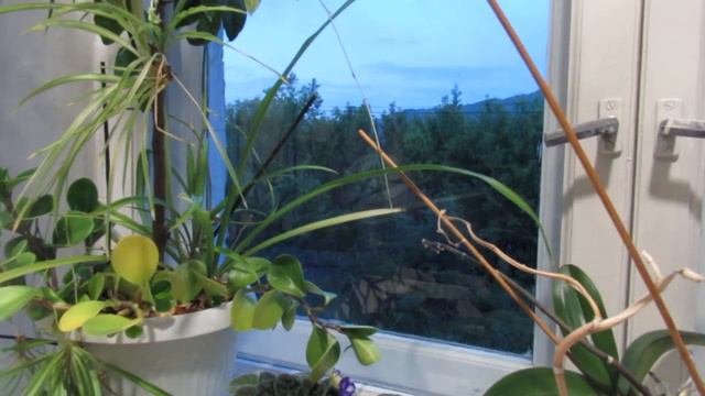 Сонет Маржане... смотреть онлайн