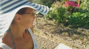 Видео привет с 6 соток 7 августа 2023 года