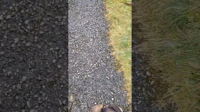 Ментал трениниг 2: - они же Астральные Образы горнолыжной техники на примерах www.OmegaSki.at смотреть онлайн