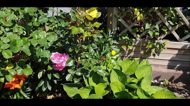 Я еду в город Счастья! смотреть онлайн