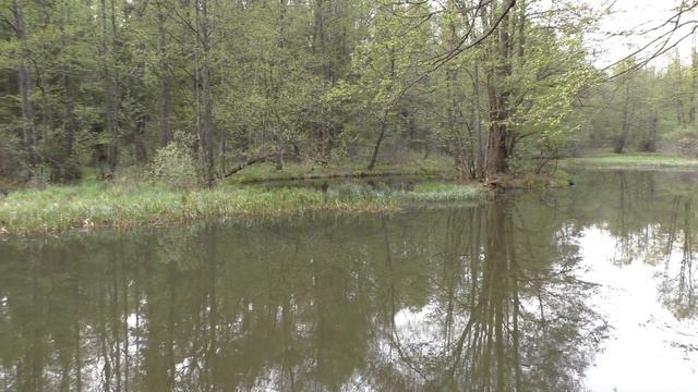 Окресности и водоёмы г ЛЮДИНОВО 2015 г (2-часть) смотреть онлайн