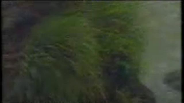 MELINA ASLANIDOU - OSA DEN SOU EIPA смотреть онлайн