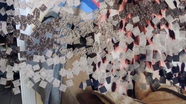 Бурманские мотивы о бурманских кошках. Эдуард Качанов, Святослав Григорец и бурманские кошки. смотреть онлайн