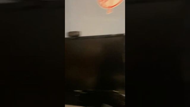Updated setup (michael) смотреть онлайн