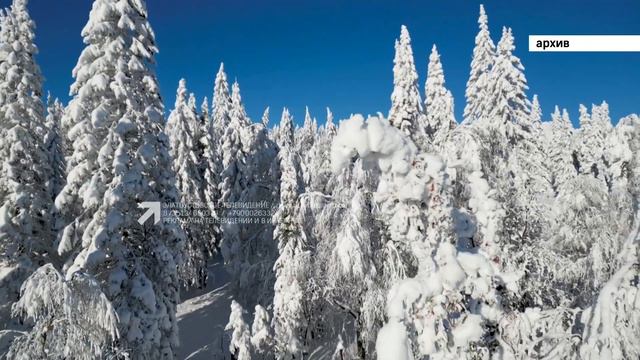 «КОРОТКИЕ НОВОСТИ» 11.01.2024 смотреть онлайн