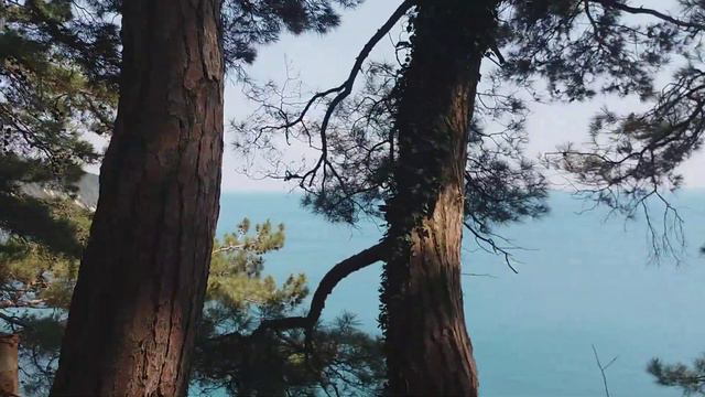 Территория военного дома отдыха Бетта. 2019 г. смотреть онлайн