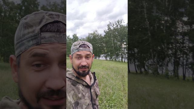 полосатая рыбка под дождичком смотреть онлайн