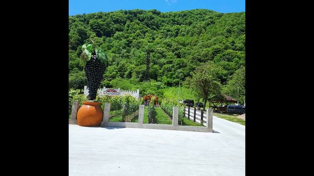 28 августа 2023 г. смотреть онлайн