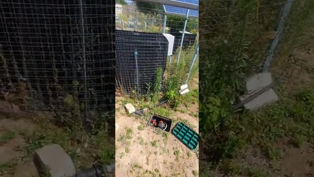 11 сентября 2022 г. смотреть онлайн