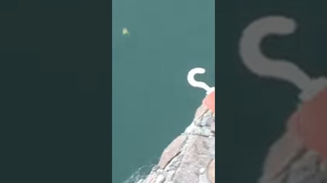 Рыбалка и отдых на базе хевен и папа выиграл 3 место а я поймал 3 Змейголова а папа 2 и один на 3.7 смотреть онлайн