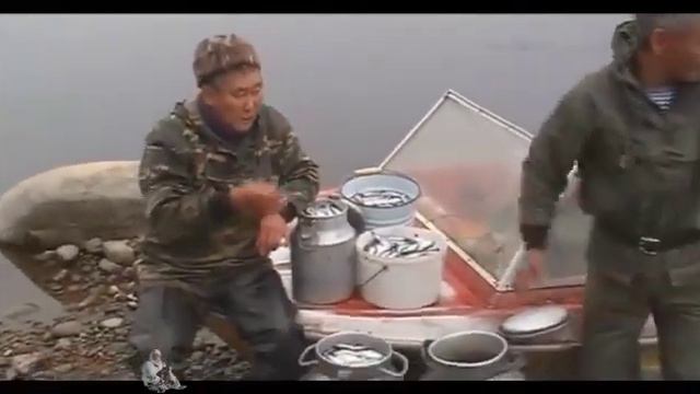 Алданские тугунки самые вкусные смотреть онлайн