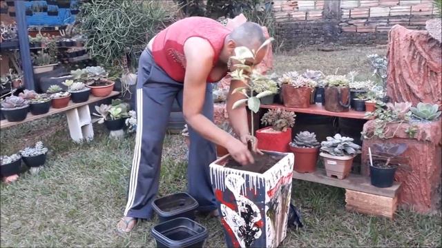 REPLANTANDO LIMÃO IMPERIAL, SONHO REALIZADO смотреть онлайн