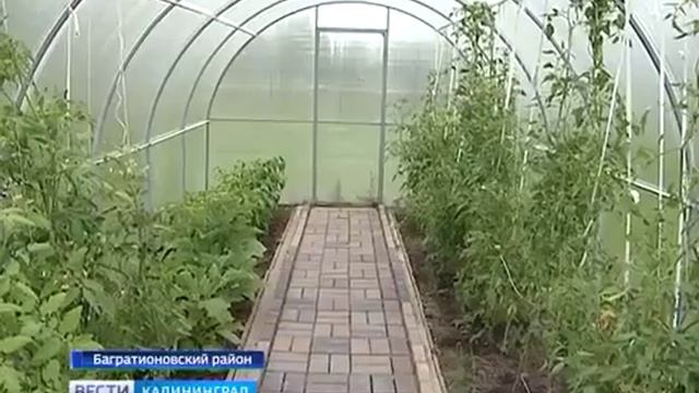Владимировский детский сад.mp4 смотреть онлайн