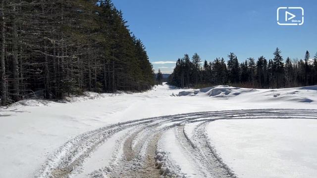 VLOG #171 / Поездка в Монктон / Нью-Брансвик / Февраль 2022 смотреть онлайн