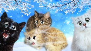 Кошечка ВАСИЛИСА Спасла Двух ГОЛОДНЫХ Кошек